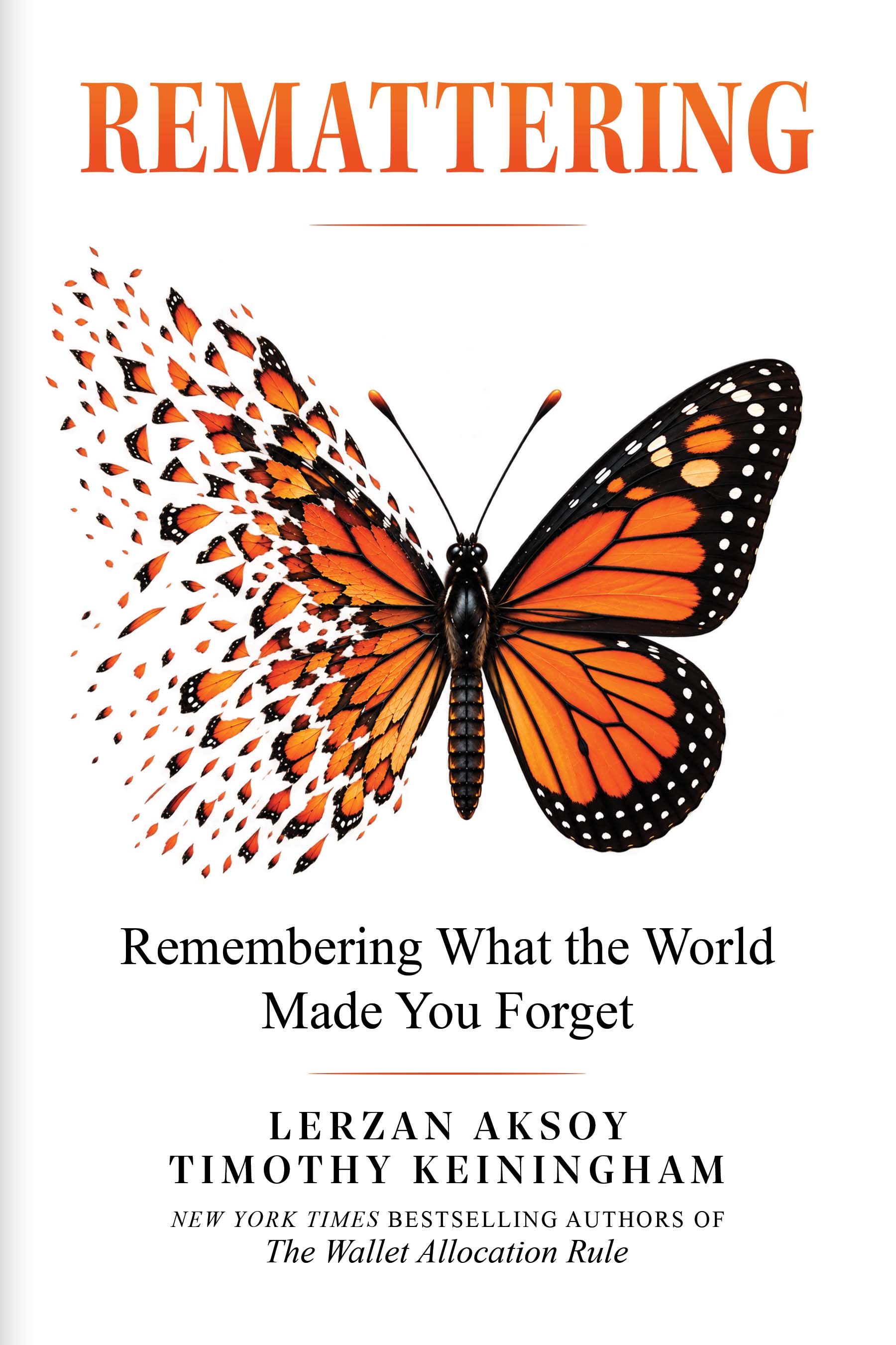 Remattering book cover